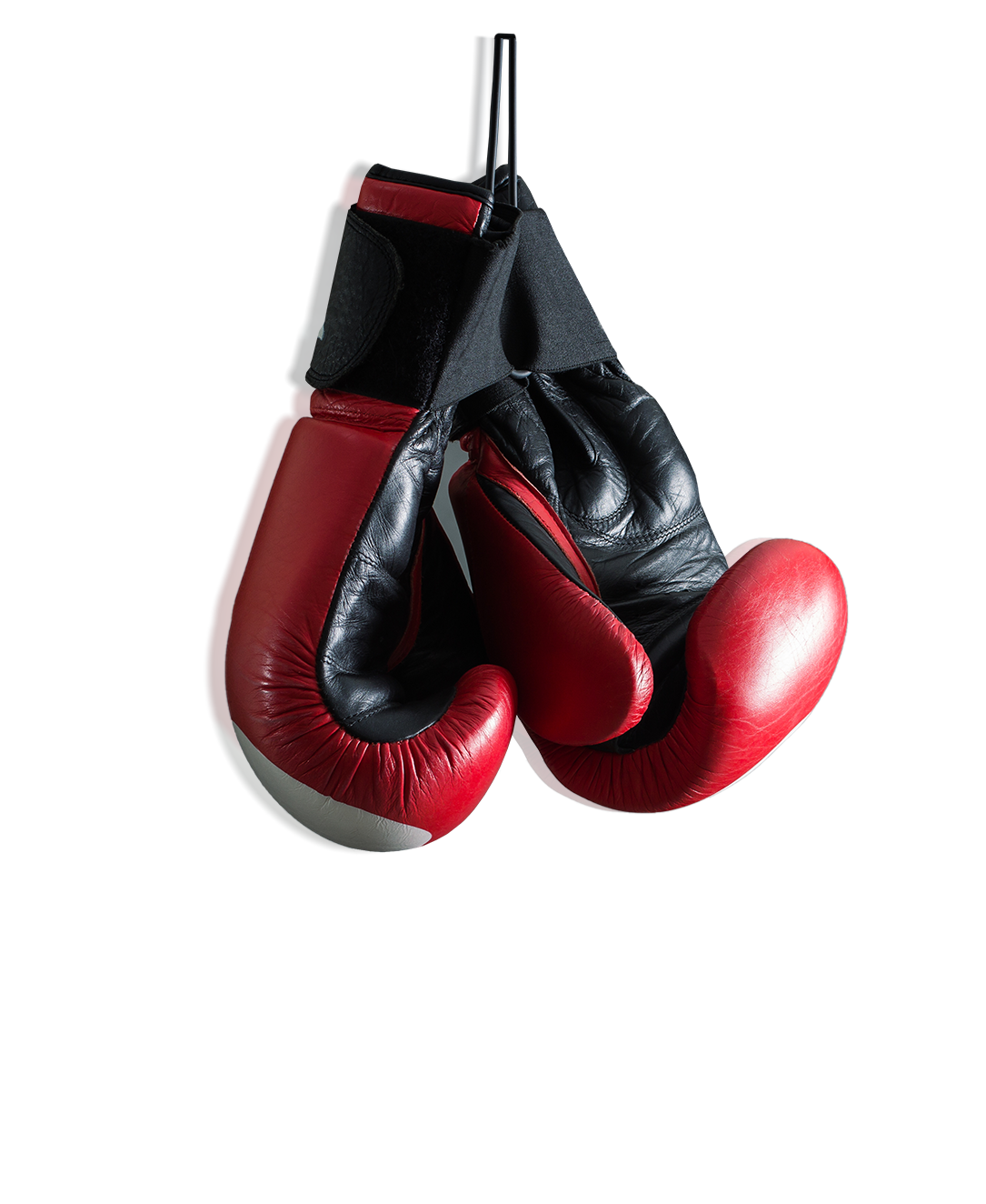 Анонс Турнир по боксу памяти В.В.Ботвинника